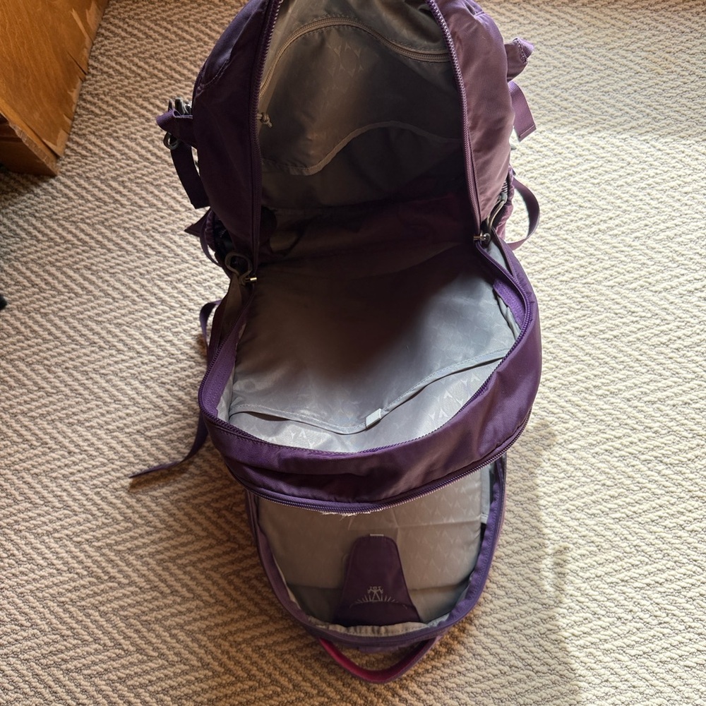Osprey Purple Laptop Backpack - Picture 7 of 7
